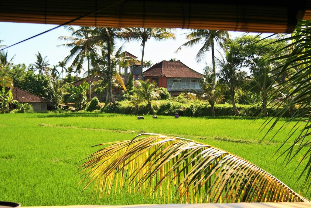 Hostel The Happy Mango Tree Ubud Exteriér fotografie